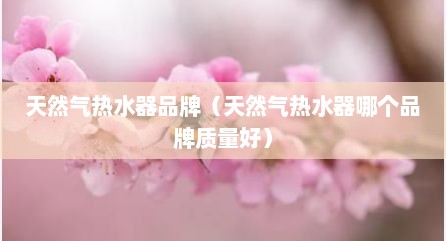 天然气热水器品牌（天然气热水器哪个品牌质量好）