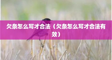 欠条怎么写才合法（欠条怎么写才合法有效）