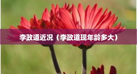 李政道近况（李政道现年龄多大）