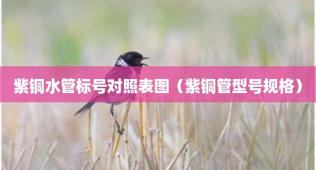 紫铜水管标号对照表图（紫铜管型号规格）