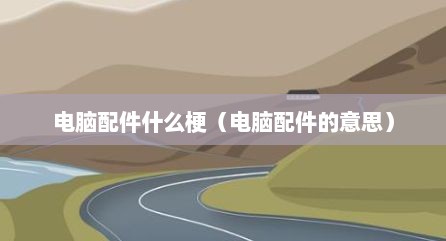 电脑配件什么梗（电脑配件的意思）