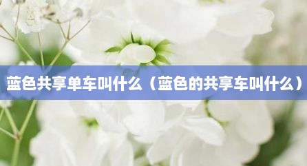 蓝色共享单车叫什么（蓝色的共享车叫什么）