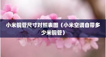 小米铜管尺寸对照表图（小米空调自带多少米铜管）