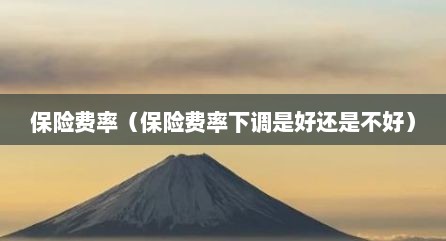 保险费率（保险费率下调是好还是不好）