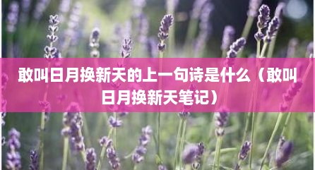 敢叫日月换新天的上一句诗是什么（敢叫日月换新天笔记）