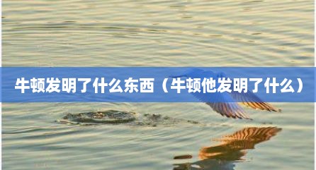 牛顿发明了什么东西（牛顿他发明了什么）