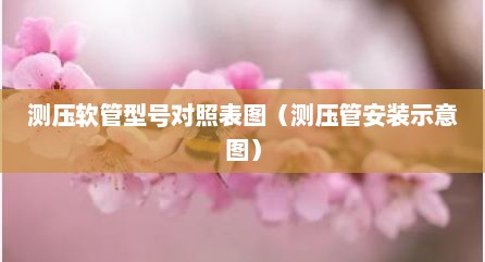 测压软管型号对照表图（测压管安装示意图）