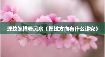 埋坟怎样看风水（埋坟方向有什么讲究）