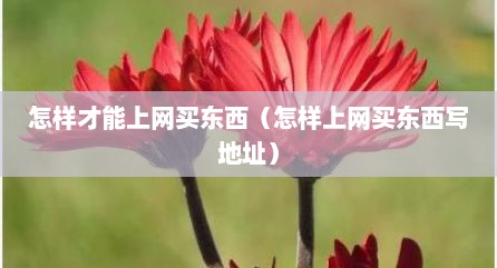 怎样才能上网买东西（怎样上网买东西写地址）