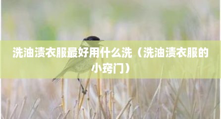 洗油渍衣服最好用什么洗（洗油渍衣服的小窍门）
