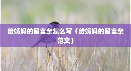 给妈妈的留言条怎么写（给妈妈的留言条范文）
