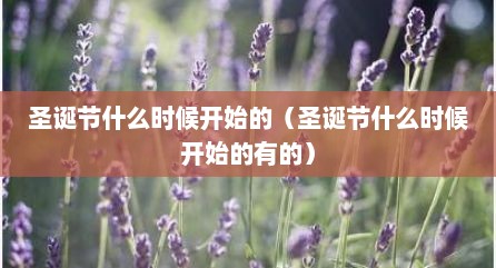 圣诞节什么时候开始的（圣诞节什么时候开始的有的）