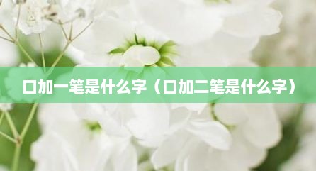 口加一笔是什么字（口加二笔是什么字）
