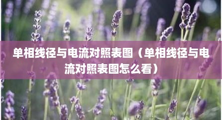 单相线径与电流对照表图（单相线径与电流对照表图怎么看）