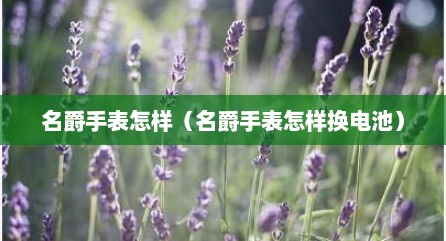 名爵手表怎样（名爵手表怎样换电池）