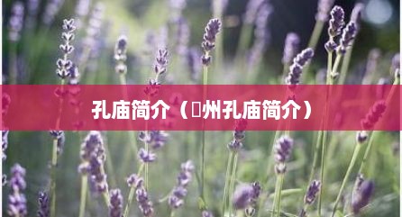 孔庙简介（忂州孔庙简介）
