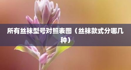 所有丝袜型号对照表图（丝袜款式分哪几种）