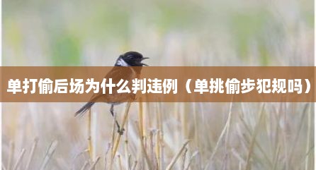 单打偷后场为什么判违例（单挑偷步犯规吗）