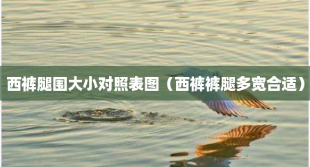 西裤腿围大小对照表图（西裤裤腿多宽合适）