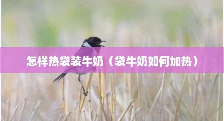 怎样热袋装牛奶（袋牛奶如何加热）