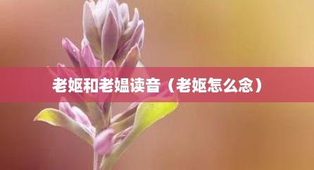 老妪和老媪读音（老妪怎么念）