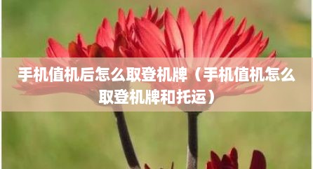 手机值机后怎么取登机牌（手机值机怎么取登机牌和托运）