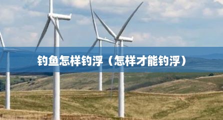 钓鱼怎样钓浮（怎样才能钓浮）