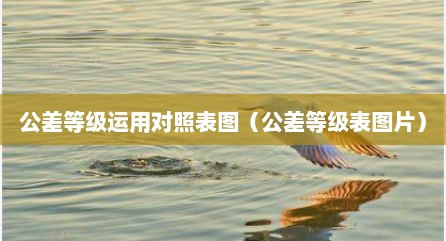 公差等级运用对照表图（公差等级表图片）