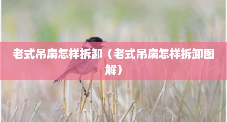 老式吊扇怎样拆卸（老式吊扇怎样拆卸图解）