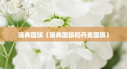 瑞典国旗（瑞典国旗和丹麦国旗）