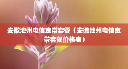 安徽池州电信宽带套餐（安徽池州电信宽带套餐价格表）
