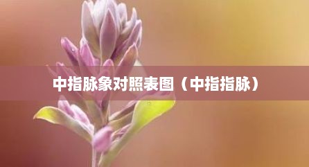 中指脉象对照表图（中指指脉）