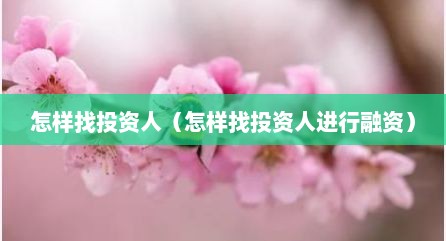 怎样找投资人（怎样找投资人进行融资）