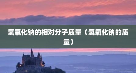 氢氧化钠的相对分子质量（氢氧化钠的质量）
