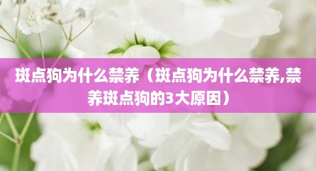 斑点狗为什么禁养（斑点狗为什么禁养,禁养斑点狗的3大原因）