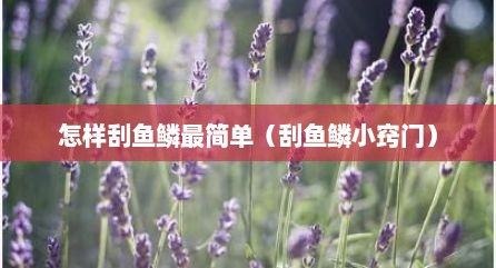 怎样刮鱼鳞最简单（刮鱼鳞小窍门）