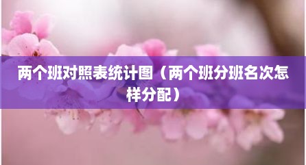 两个班对照表统计图（两个班分班名次怎样分配）