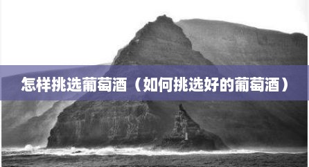 怎样挑选葡萄酒（如何挑选好的葡萄酒）