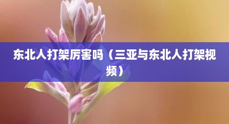 东北人打架厉害吗（三亚与东北人打架视频）