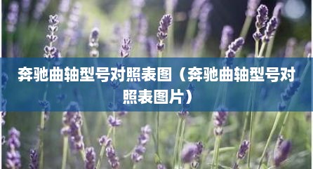 奔驰曲轴型号对照表图（奔驰曲轴型号对照表图片）