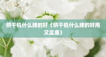 烘干机什么牌的好（烘干机什么牌的好用又实惠）