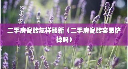 二手房瓷砖怎样翻新（二手房瓷砖容易铲掉吗）