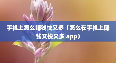手机上怎么赚钱快又多（怎么在手机上赚钱又快又多 app）