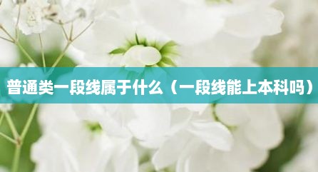 普通类一段线属于什么（一段线能上本科吗）