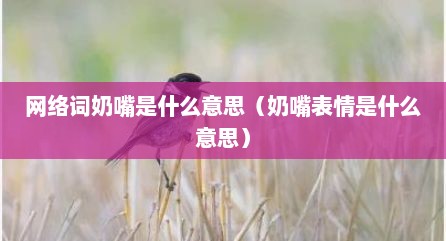 网络词奶嘴是什么意思（奶嘴表情是什么意思）