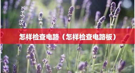 怎样检查电路（怎样检查电路板）