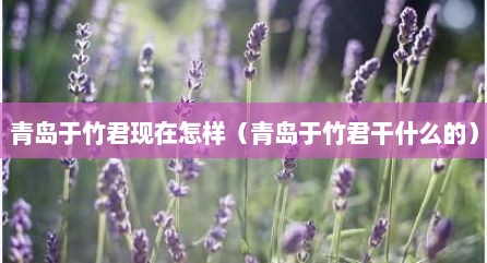 青岛于竹君现在怎样（青岛于竹君干什么的）
