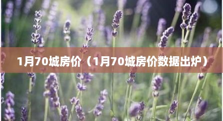 1月70城房价（1月70城房价数居出炉）