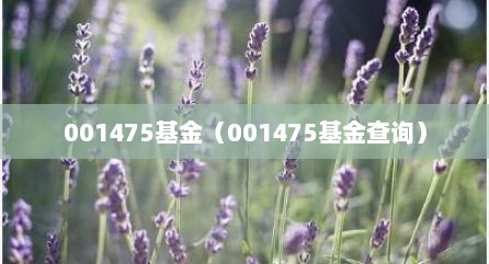 001475基金（001475基金查询）