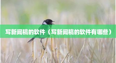 写新闻稿的软件（写新闻稿的软件有哪些）